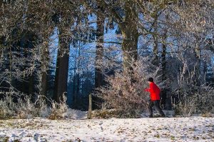 Lauftraining im Winter - Läufer beim Joggen