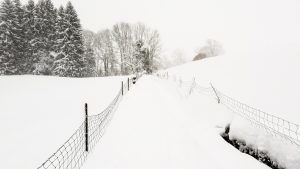 Snow Running - Lauftraining auf Schnee