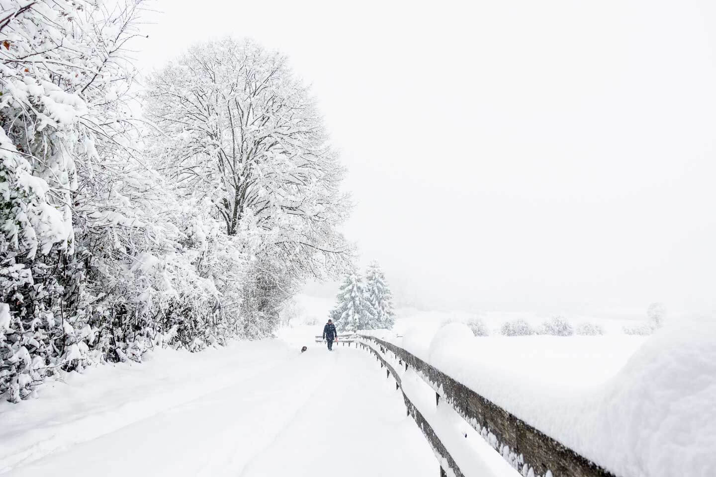 https://lauftipps.ch/wp-content/uploads/2021/12/Snow-Running-Joggen-im-Schnee.jpg