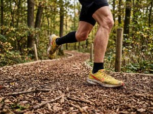 Welche Laufschuhe machen Sinn beim Training auf einer Finnenbahn