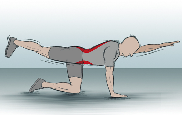Diagonale Rücken- und Bauchmuskulatur trainieren Diagonale Rücken- und Bauchmuskulatur trainieren