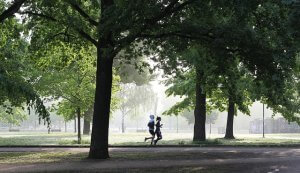 Nahrungsergänzungsmittel zur Gesunderhaltung und Steigerung der Fitness.