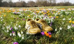 Lauftraining im Frühling starten
