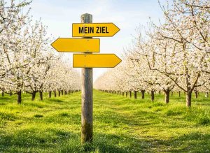 Lauftraining im Frühling starten mit einem Ziel