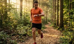 Periodisierung im Lauftraining