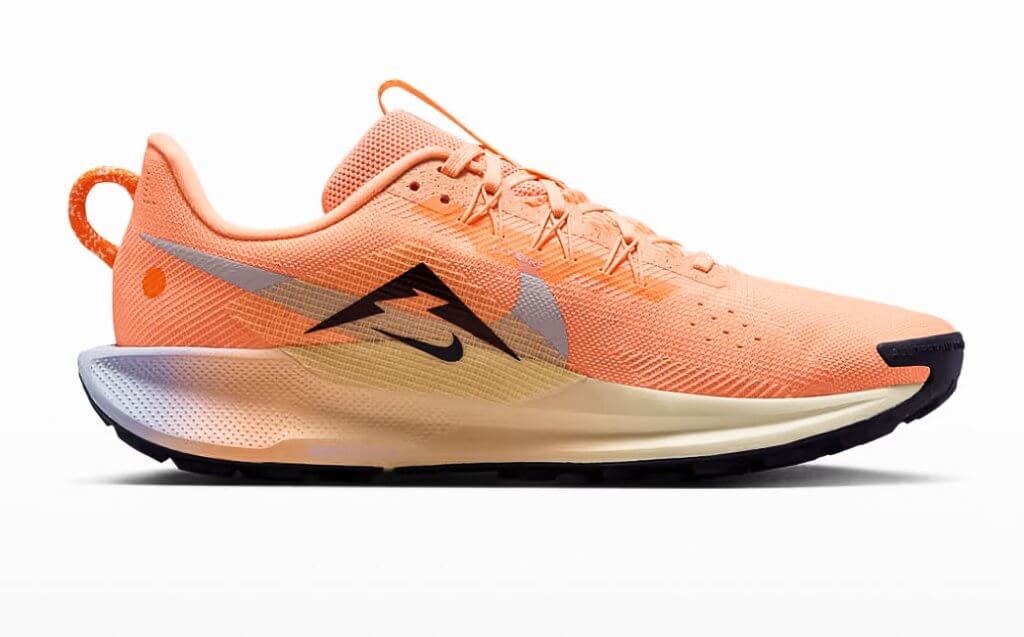 Laufschuhe für Trailrunning Nike Pegasus Trail 5