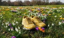 Lauftraining im Frühling starten