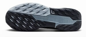 Nike Pegasus Trail 5 GORE-TEX